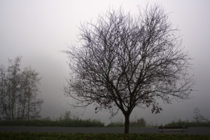 november